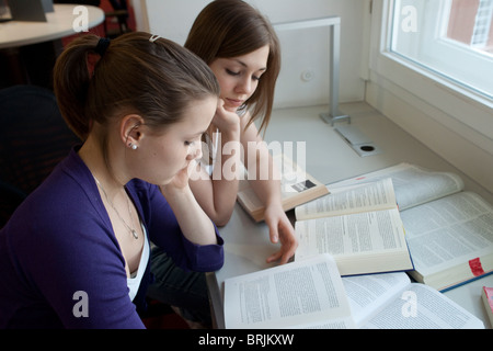 Deux jeunes filles étudiant Banque D'Images