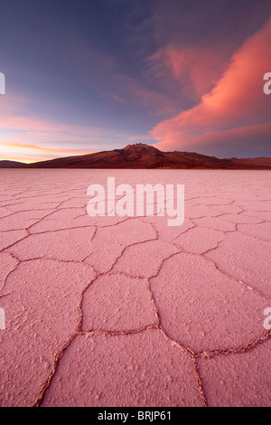 Le Salar de Uyuni, Bolivie Banque D'Images