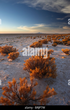 Le Salar de Uyini au crépuscule, Bolivie Banque D'Images