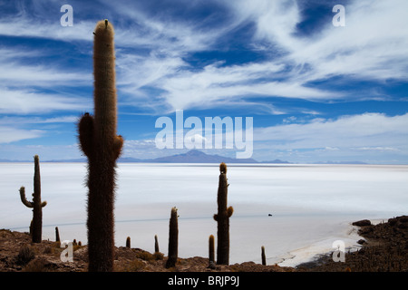 Un véhicule isolé sur le Salar de Uyuni, Bolivie Banque D'Images