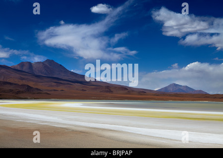 La région reculée de high desert, et les volcans de l'altiplano bolivien, près de Tapaquilcha Banque D'Images