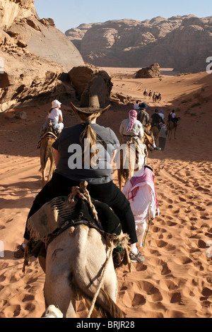 Camel voyage dans le Wadi Rum, Jordanie. Banque D'Images