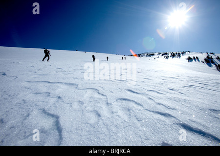 Silhouette de six hommes randonnée / pratique des randonnées sur un ciel bleu 24. Banque D'Images