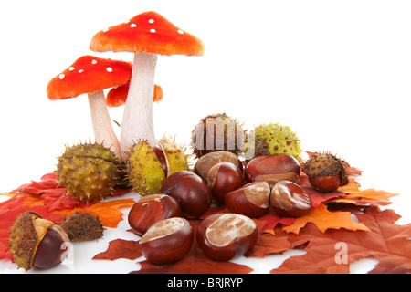Scène d'automne avec des feuilles, Châtaignes et champignons sur fond blanc Banque D'Images