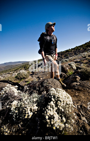 Randonnées d'un jeune homme près de fleurs alpines dans le haut désert ci-dessous Mt. Kilimanjaro. Banque D'Images