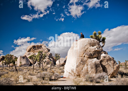 Un jeune homme est assis sur une famille après plus d'un itinéraire d'escalade dans le parc national Joshua Tree. Banque D'Images