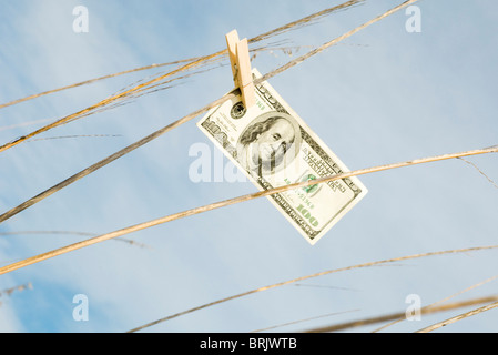 One hundred dollar bill accroché sur l'herbe haute avec une épingle à linge Banque D'Images