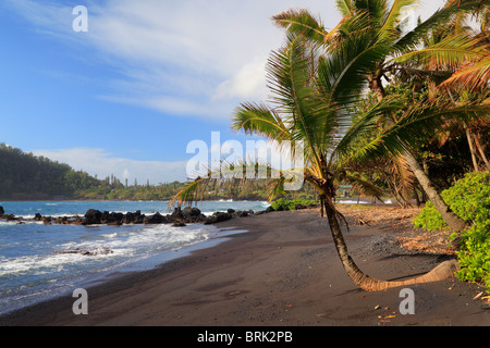 Plage de sable noir de Hana Bay sur la côte nord-est de Maui, dans la ville de Hana. Banque D'Images
