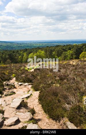 Vue sur la Plaine du Cheshire de terres agricoles et de bois de haut au-dessus de Congleton Angleterre Royaume-Uni UK Banque D'Images