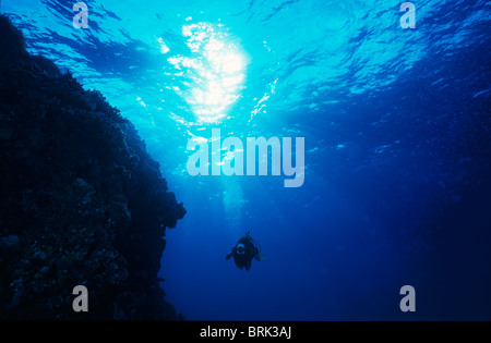 Un plongeur avec une caméra vidéo numérique explore un récif tropical. Banque D'Images