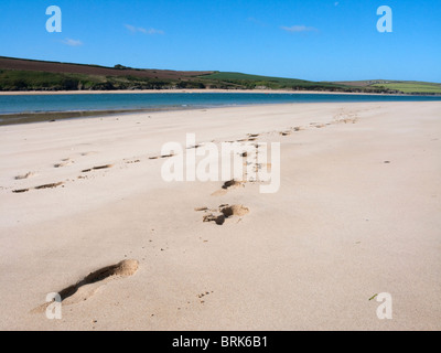 Empreintes sur Rock Beach à Cornwall, Angleterre, Royaume-Uni. Banque D'Images