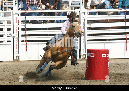 Rodeo , Alberta, Canada Banque D'Images