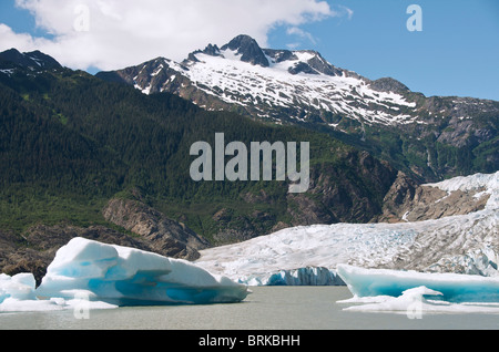 Vue panoramique du glacier de Mendenhall près de Juneau en Alaska USA Banque D'Images