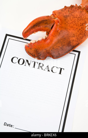 Pince de homard et contrat d'entreprise, concept de menacer Banque D'Images