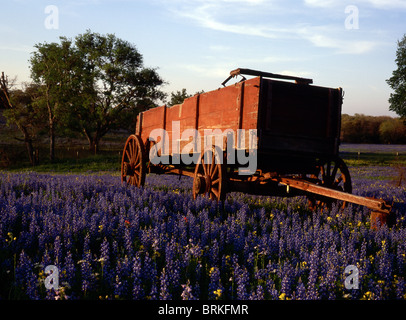 Montagne près de Austin au Texas, avec Wagon dans domaine de Blue Bonnets Banque D'Images