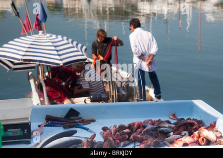 Terre de pêcheurs le matin attraper à Cassis France. Banque D'Images