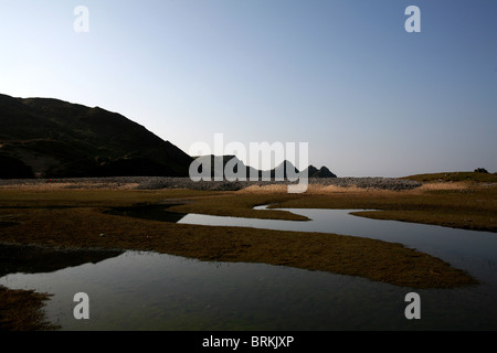 Trois piscines à salt marsh cliffs bay péninsule de Gower South Wales UK Banque D'Images