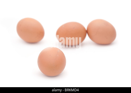 Le poulet cru les oeufs sur un fond blanc Banque D'Images