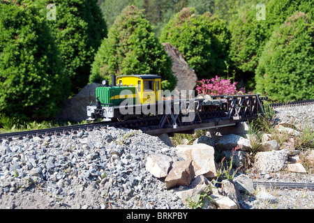 La White Pass modèle Jardins Jewell Skagway le passage de l'intérieur de l'Alaska États-Unis Banque D'Images