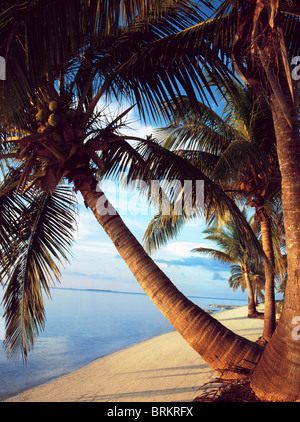 Palmiers qui pèsent sur sa plage de sable blanc avec des eaux bleu Banque D'Images