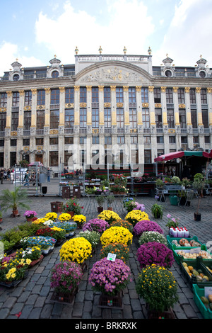 Marché aux fleurs de la Grand Place Grand Place Bruxelles Bruxelles Belgique. Photo:Jeff Gilbert Banque D'Images