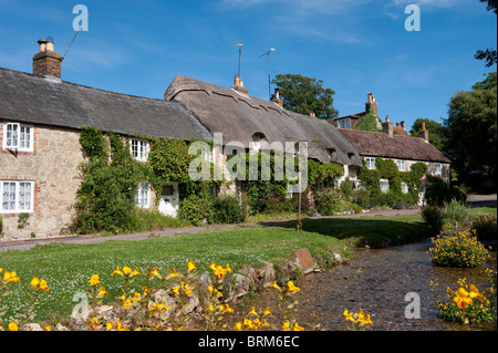 Très jolies chaumières sur Winkle Street sur l'île de Wight, Angleterre. Banque D'Images