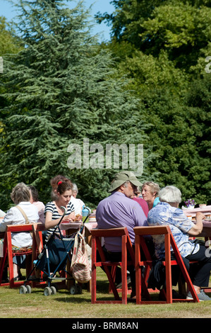 Groupe de personnes prendre des rafraîchissements lors d'une garden party dans le parc d'une grande maison en Angleterre. Banque D'Images