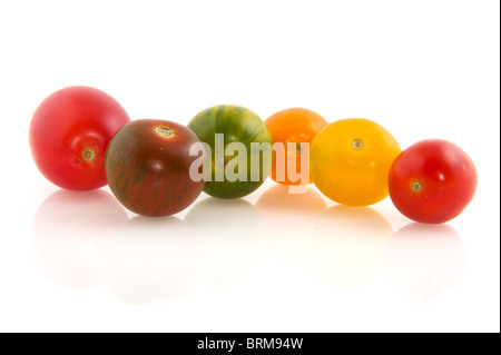 Les tomates sauvages dans une rangée isolated over white Banque D'Images