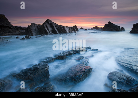 Les rivages rocailleux de Hartland Quay dans le Nord du Devon, Angleterre. Printemps (avril) 2010. Banque D'Images