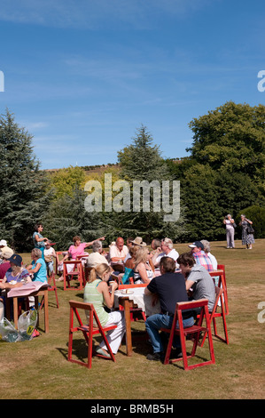 Groupe de personnes prendre des rafraîchissements lors d'une garden party dans le parc d'une grande maison en Angleterre. Banque D'Images