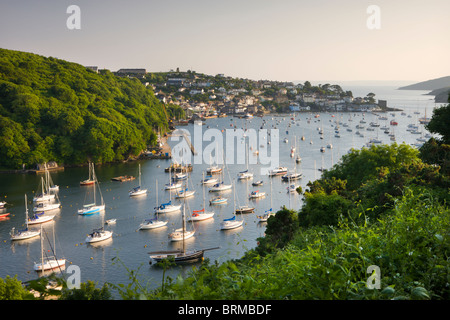 Pont comprimé, et l'estuaire de Fowey Polruan de Hall à pied près de Bodinnick, Cornwall, Angleterre. En été (juin) 2010. Banque D'Images