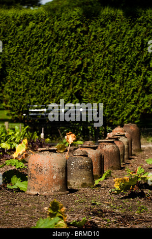 Pots à forcer la rhubarbe Les Jardins perdus de Heligan à Cornwall, Royaume-Uni Banque D'Images