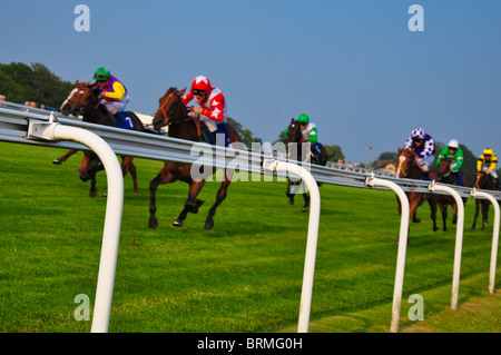 Courses hippiques à l'hippodrome célèbre d'Epsom Banque D'Images