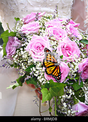 Papillon monarque un atterrissage sur un bouquet floral violet Banque D'Images