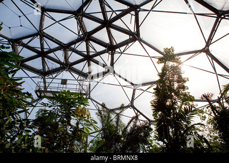 Le tropical dome. L'Eden Project Banque D'Images