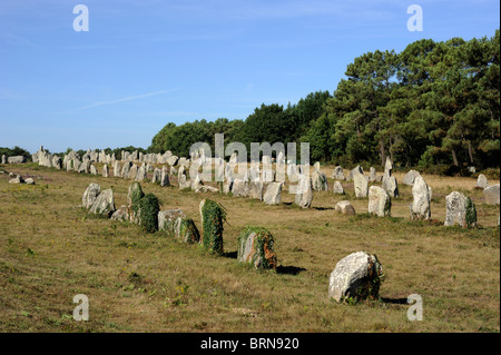 France, Bretagne (Bretagne), Morbihan, Carnac, alignements de Kermario Banque D'Images