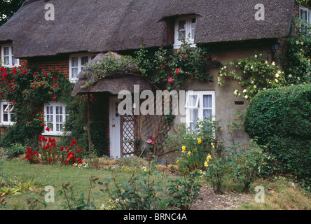 La ligne rouge et crème roses sur chaume traditionnel anglais cottage avec jardin coloré frontières Banque D'Images