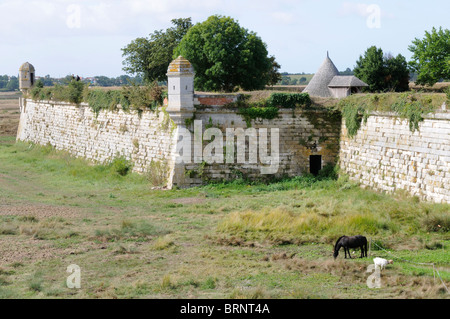 Stock photo des murs de la ville de Brouage en France. Banque D'Images