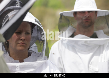 L'apiculture. Les apiculteurs novices l'apprentissage des techniques d'élevage des abeilles Banque D'Images