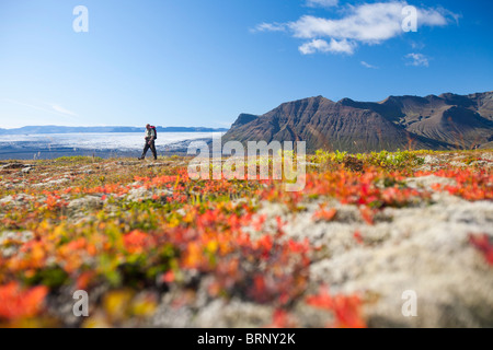 Le glacier Skeidararjokull descendant de la calotte glaciaire de Vatnajokull dans Icleand. Banque D'Images