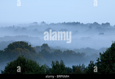 Brume matinale Banque D'Images