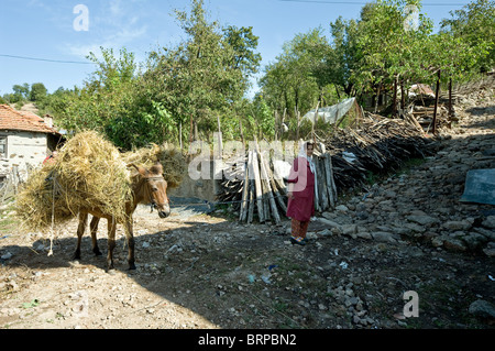 Musulmans du village Kushla Rhodope Bulgarie Banque D'Images