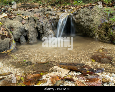 Petit ruisseau avec cascade Banque D'Images