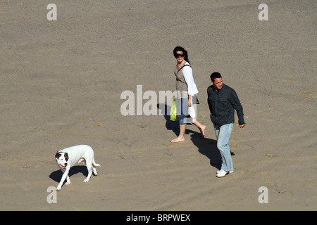 Un couple marcher leur chien sur la plage Banque D'Images