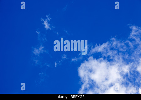 Ciel bleu avec des nuages cirrus looking up