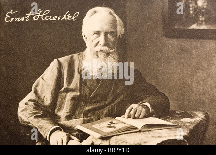 Ernst Heinrich Philipp August Haeckel (1834 - 1919), théoricien de l'évolution. Banque D'Images