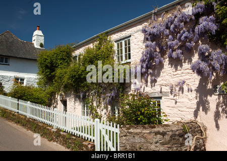 Royaume-uni, Angleterre, Devon, Dittisham, ancienne maison en pierre peint blanc ornés de wisteria derrière picket fence Banque D'Images