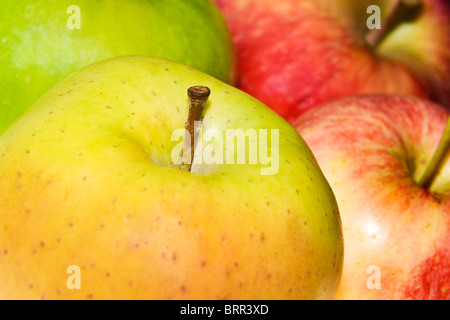 Studio shot de quatre variétés différentes de pommes Banque D'Images