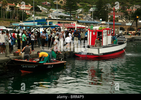 Bateaux de pêche dans le port de Kalk Bay Banque D'Images