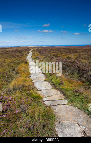 Les Quakers Causeway une ancienne foulèrent à travers Stanghow Moor dans le North York Moors National Park près de Guisborough Banque D'Images